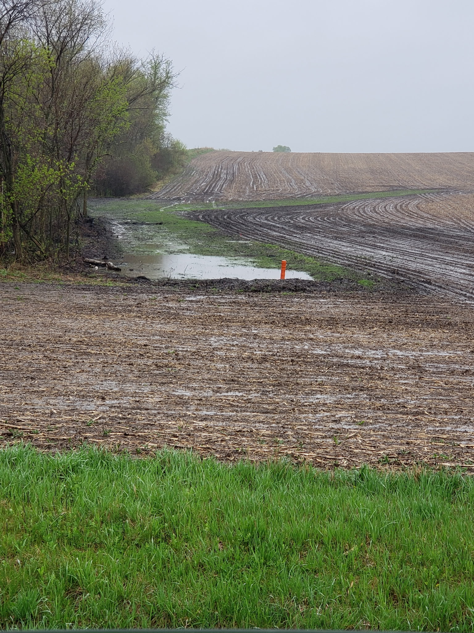 After: Cleared area with drain tile inlet (orange pipe) visible