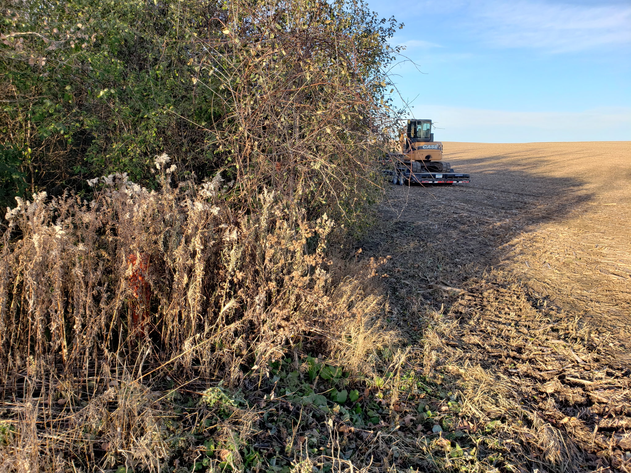 Before: Equipment arriving on site to begin clearing vegetation