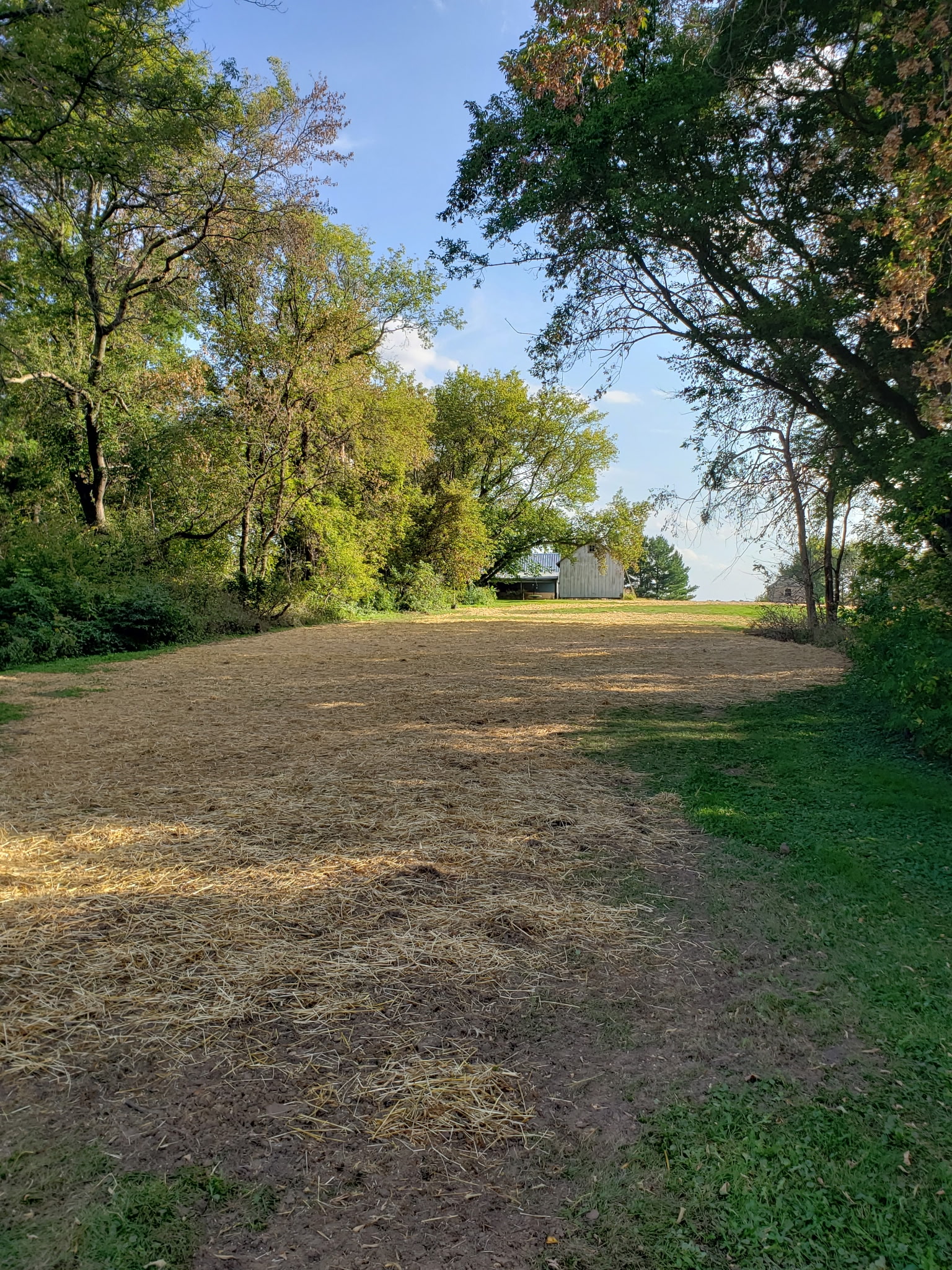 After: Fully restored and graded site with clean soil and straw covering