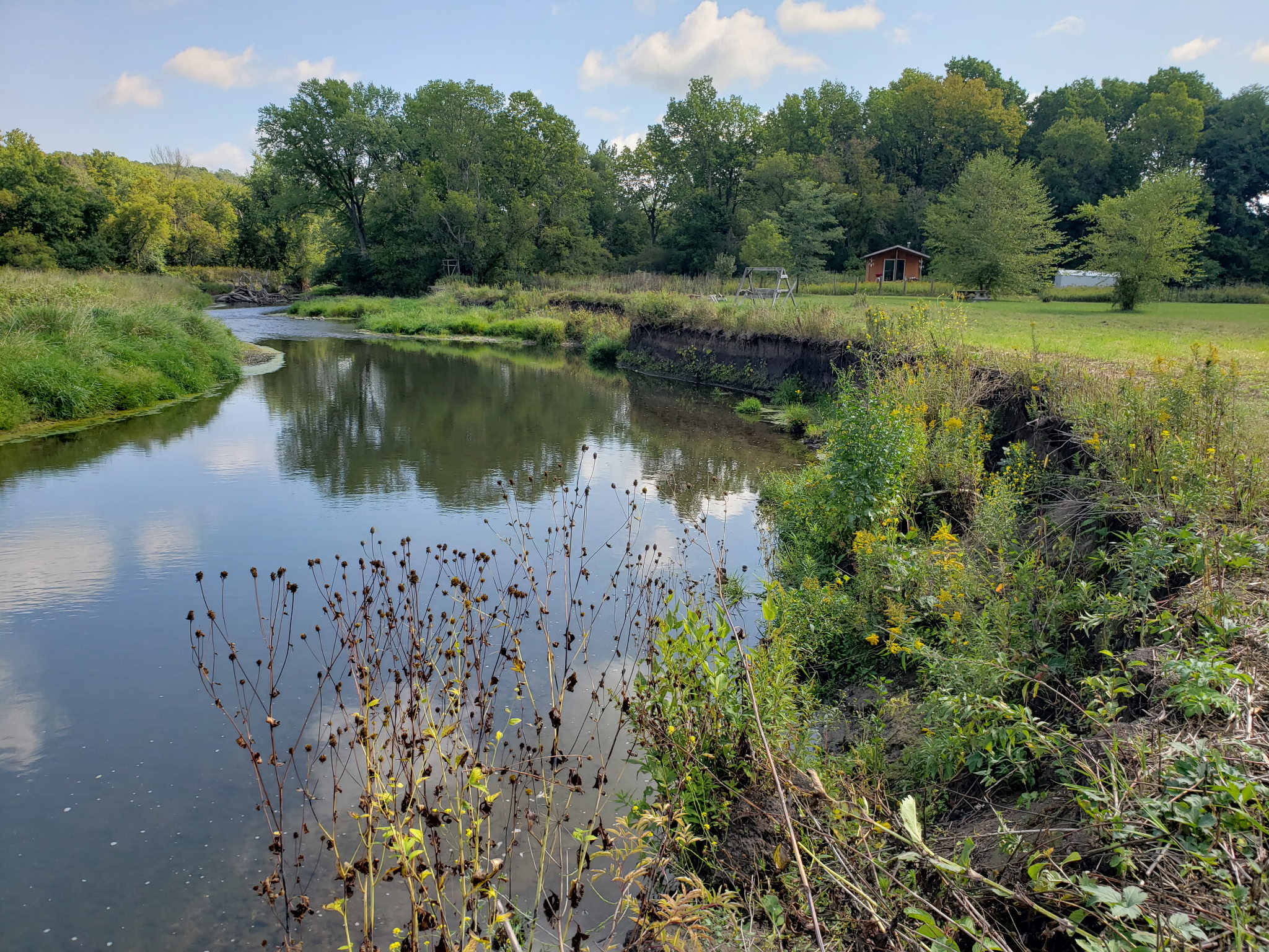 Before: Natural riverbank with erosion issues and unstable soil